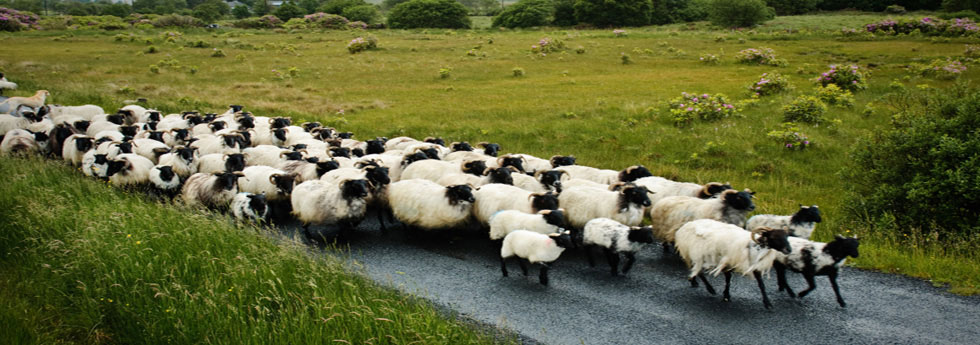 Ireland